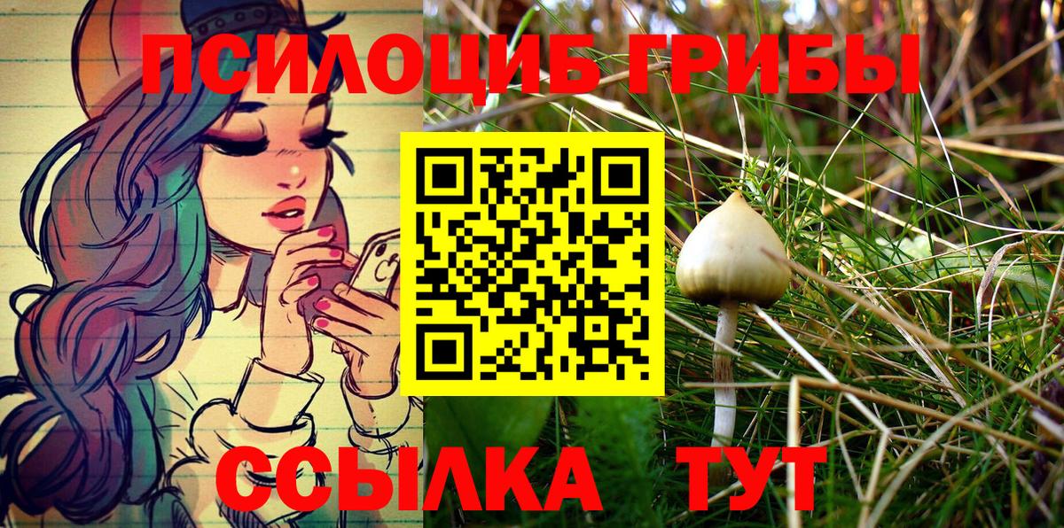 Псилоцибиновые грибы прущие грибы  Псилоцибиновые грибы ЛСД  Вход с VPN  Калуга 