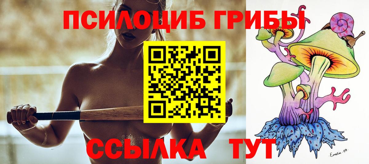 Псилоцибиновые грибы Psilocybe Калуга