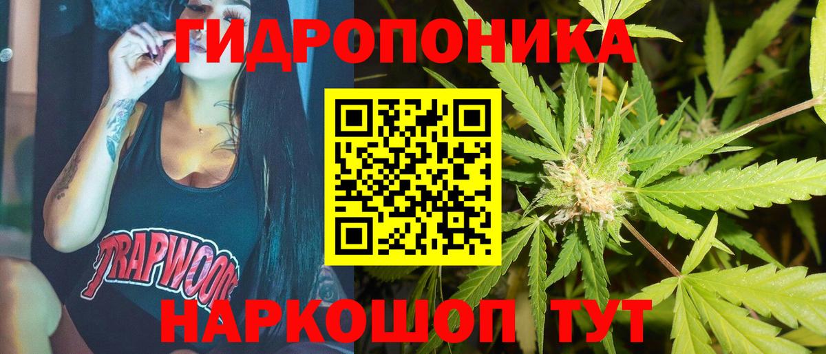 Бошки марихуана SATIVA & INDICA  Марихуана сатива  Шишки марихуана VHQ  Вход с VPN  Калуга 